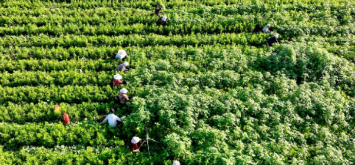 俄罗斯专享会·(中国区)官网