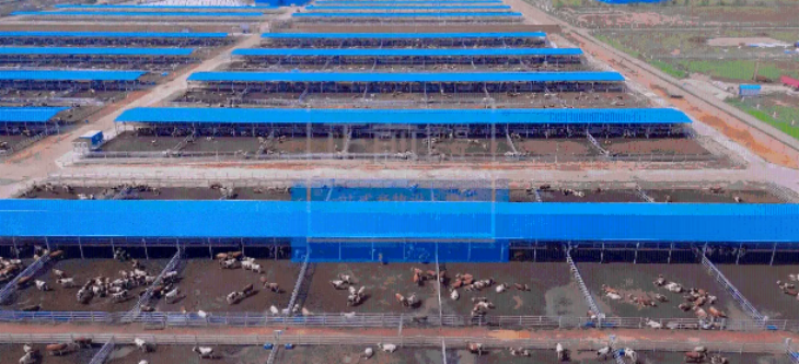 俄罗斯专享会·(中国区)官网