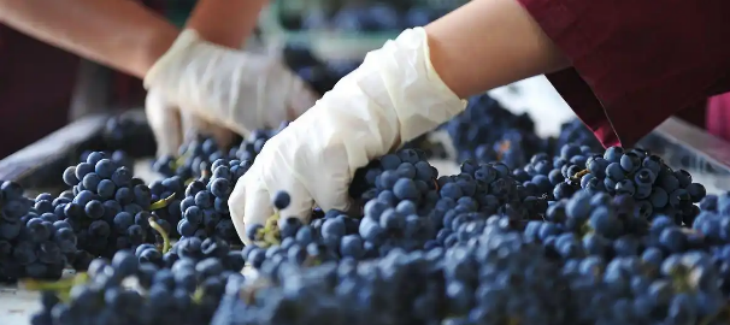 俄罗斯专享会·(中国区)官网