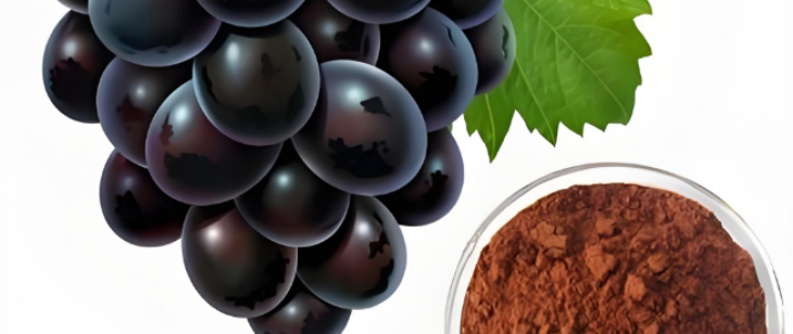 俄罗斯专享会·(中国区)官网