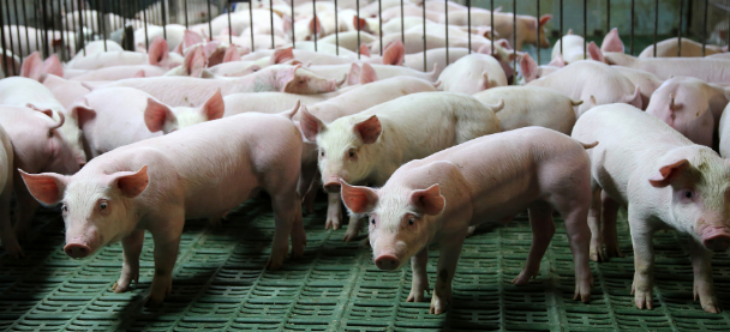 俄罗斯专享会·(中国区)官网