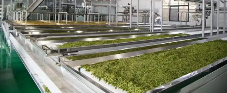 俄罗斯专享会·(中国区)官网