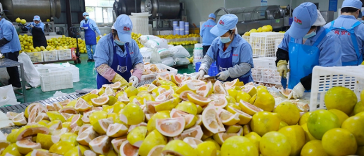 俄罗斯专享会·(中国区)官网