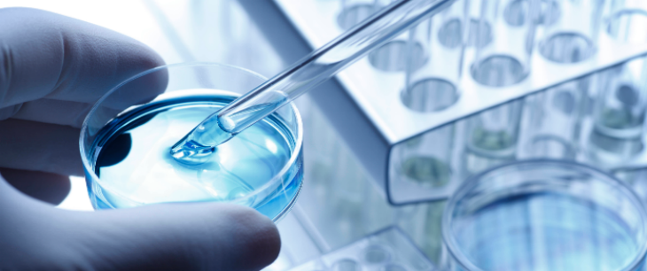 俄罗斯专享会·(中国区)官网