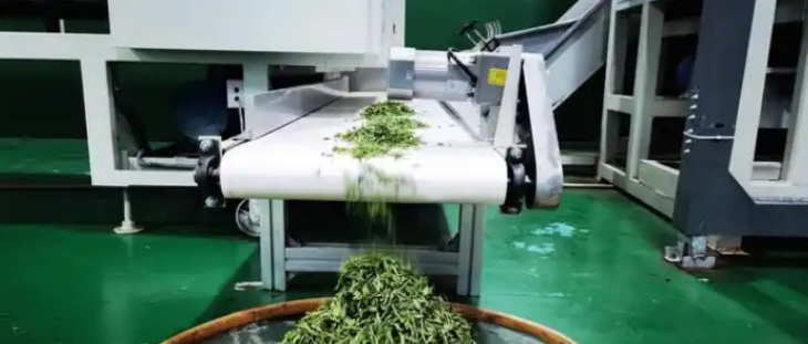 俄罗斯专享会·(中国区)官网