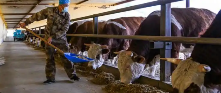 俄罗斯专享会·(中国区)官网