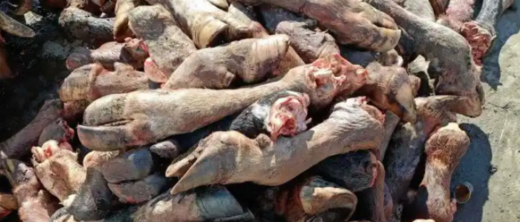 俄罗斯专享会·(中国区)官网