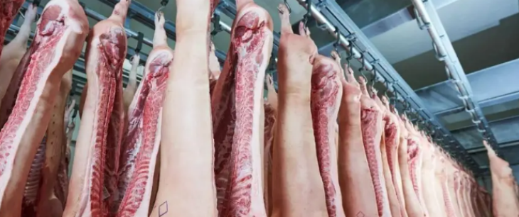 俄罗斯专享会·(中国区)官网