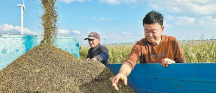 俄罗斯专享会·(中国区)官网