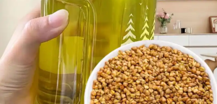 俄罗斯专享会·(中国区)官网