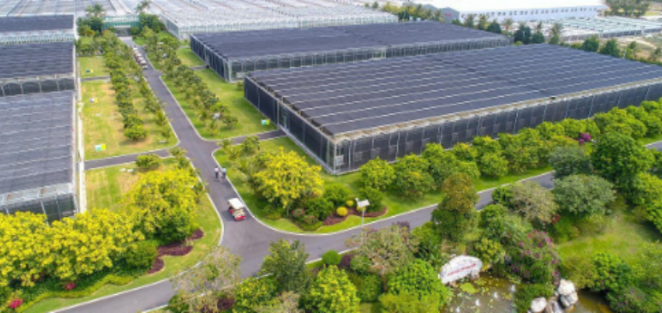 俄罗斯专享会·(中国区)官网