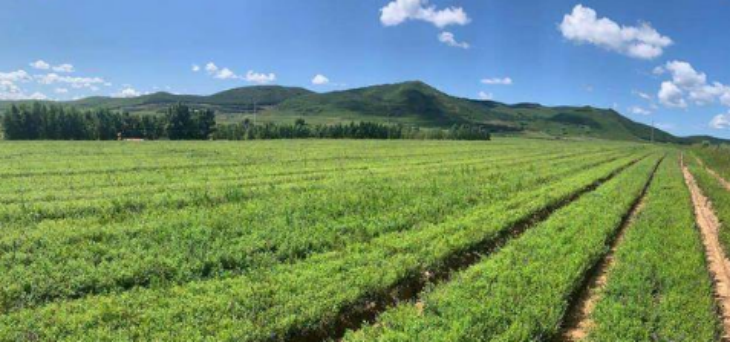 俄罗斯专享会·(中国区)官网