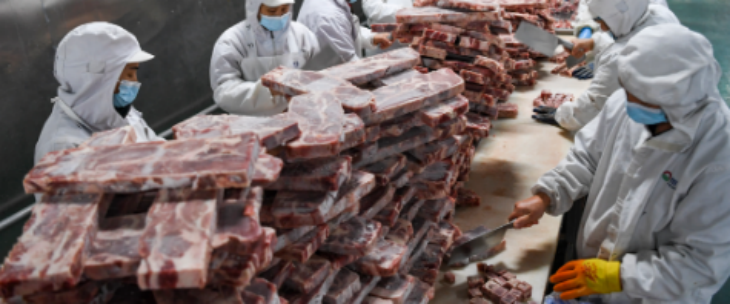 俄罗斯专享会·(中国区)官网