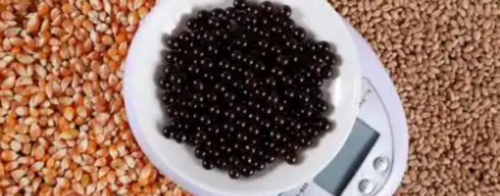 俄罗斯专享会·(中国区)官网