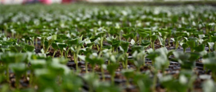 俄罗斯专享会·(中国区)官网