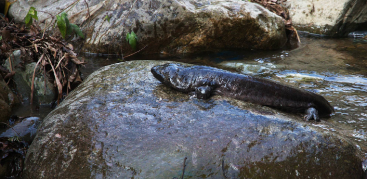 俄罗斯专享会·(中国区)官网