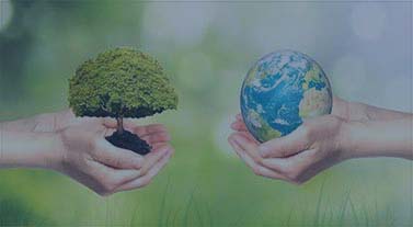 俄罗斯专享会·(中国区)官网